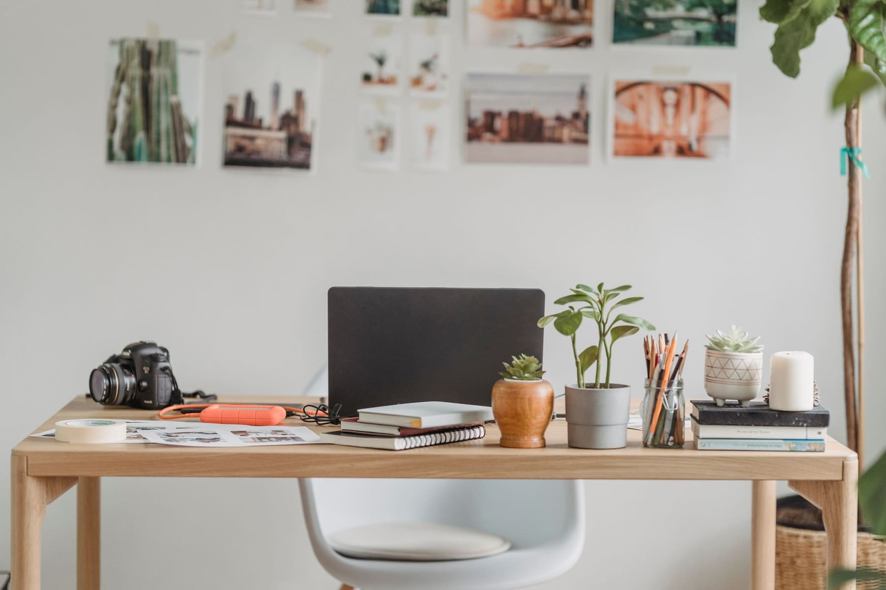 A bright desk with a laptop, plants and printed photos pinned to the wall